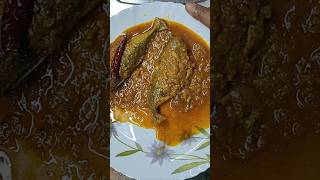 Barramundi Fishs spicy tasty curry for lunch cooking cookintips foodiecook [upl. by Angil769]