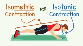 Isometric Contraction vs Isotonic Contraction  Physiology with Animation [upl. by Tillford]