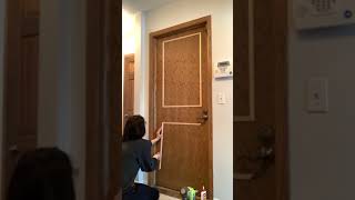 Flat Panel Door Makeover How to Update a Flat Door in a Weekend shorts [upl. by Ru131]