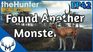 Fresh Start Ep42  theHunter Call of the Wild [upl. by Aknaib]