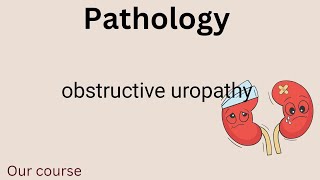 L3  pathology obstructive uropathyrenal 42 [upl. by Oiligriv538]