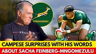 😱INCREDIBLE HOW DAVID CAMPESE PRAISED YOUNG SACHA FEINBERGMNGOMEZULU  SPRINGBOKS NEWS [upl. by Hsima]