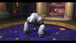 Highlord Kruul  Guardian Druid PoV  Mage Tower Challenge [upl. by Einama]