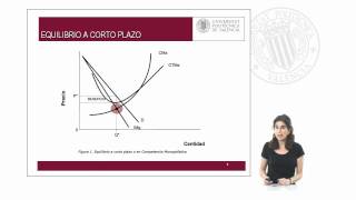 Competencia monopolística   UPV [upl. by Almita664]