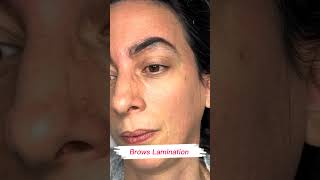 Brows Lamination shorts juliedesigner eyebrow browshaping youtubeshorts easybrows shortvideo [upl. by Elrahc]