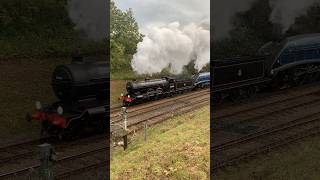 Sir Nigel Gresley amp Beachy Head 📸🚂 trains bluebellrailway steamgala steamlocomotives [upl. by Otnicaj994]