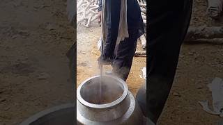 Beef Biryani shortvideo ytshorts youtubeshorts [upl. by Christophe]