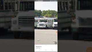 198890 Thomas S1800 Bus 8035Guilford CountyNC kl1000 [upl. by Ainnos504]