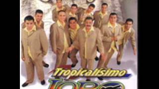 tropicalisimo lobo la mil y una noches [upl. by Lucey]