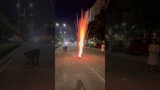 Fireworks 🎇 Happy Diwali diwali diwalifestival diwali2024 shorts fireworks diwalicelebration [upl. by Bert]