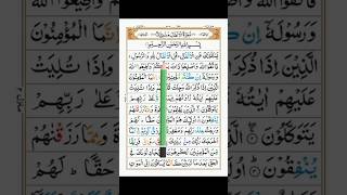 Surah AlAnfal  By Sheikh Yasser AlDosari  The Bounties The Spoils of Waryoutubeshorts [upl. by Prunella]