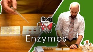 Enzymes  GCSE Science Required Practical [upl. by Pierette]