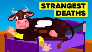 Strangest Ways People Died [upl. by Mathian117]