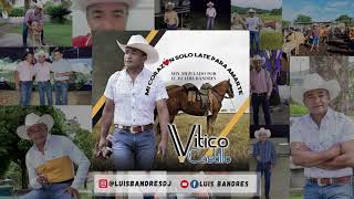 VITICO CASTILLO MIX 2021  DISCO NUEVO COMPLETO  EXITOS 2021 DJLUISBANDRES [upl. by Amabel942]