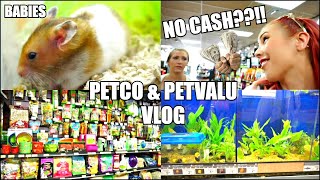 PETCO Hamsters amp Fish  PET STORE Vlog  Getting New Fish Plants [upl. by Sutton]