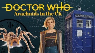 Who Talk  Arachnids in the UK Episode 4 [upl. by Aissilem718]