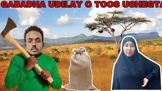 XOG CUSUB HASHIM GABDHA UDILAY OO LA OGADAY SABABTA U UDILAY IYO WAXA KA DHEXEYAY IYO IN DCI EY [upl. by Neelia752]