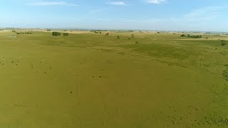 Estância a venda no Uruguai com 1470 ha Departamento de Cerro Largo [upl. by Arrehs]