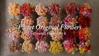 Coming Soon Floret Original Flowers [upl. by Eidac900]