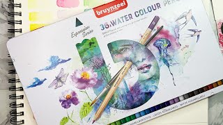 Bruynzeel watercolor pencils expression set test and comparison to Stabilo Swisscolor and others [upl. by Tegirb]