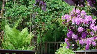 Lost Gardens of Heligan  Cornwall [upl. by Osrick84]