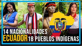 PUEBLOS Y NACIONALIDADES INDÍGENAS DEL ECUADOR [upl. by Litton]