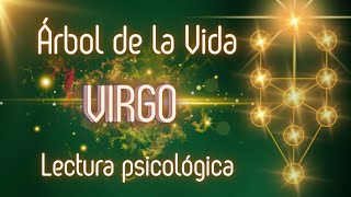 La disminución ♍️VIRGO♍️ Mensual del 15 de Agosto al 15 de Septiembre  Tarot 🔮 [upl. by Saylor220]