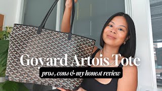 Goyard Artois Tote InDepth Review  Pros amp Cons [upl. by Eiramoj443]