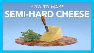 How to make semihard cheese [upl. by Laveen]