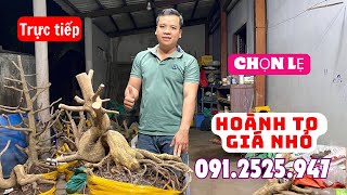 1511 xổ rẻ quẹo lựa nha cả nhà912525947 [upl. by Yllatan]