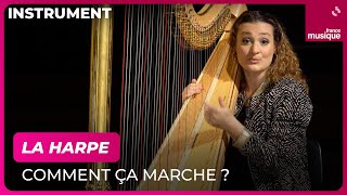 La harpe comment ça marche  Avec Émilie Gastaud  Culture Prime [upl. by Oynotna]