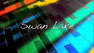 Swan Lake Remix [upl. by Anamor925]