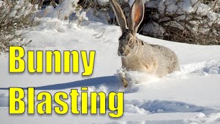 Jackrabbit Hunt Utah Jan 23 in 4K [upl. by Shank]