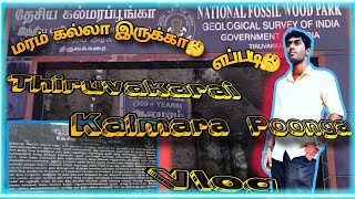 Villupuram To Pondycherry \ Thiruvakarai Kalamara Poonga Vlog🔥🔥🤙🏻🤙🏻 [upl. by Weikert792]