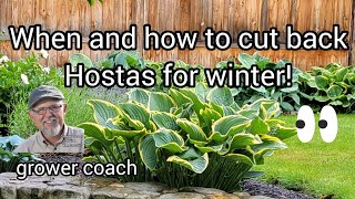 When and how to cut back Hostas [upl. by Nadaba]