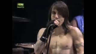 Red Hot Chili Peppers  Mellowship Slinky In B Major [upl. by Arleen1]