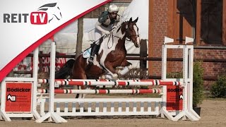 Springreiten lernen Parcours reiten leicht gemacht [upl. by Yreffej]