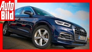 Kommentar Audi Q5 2017  Redakteur Joachim Staat trifft neuen Q5 [upl. by Azarcon845]