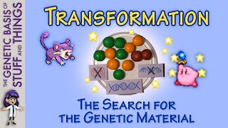 Discovering the transforming factor  Sims and Kirby and Pokemon oh my [upl. by Hara]