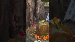 Mahadev status  Akhand Bharat Temple  2024  short  video [upl. by Asert16]