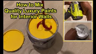 quotPaint Colour Craze PaloozaThe Ultimate Guide to Mastering Wall Paint Mixing Transform your Walls [upl. by Kung397]