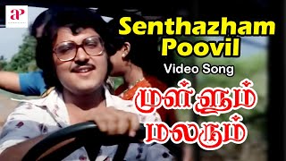 Mullum Malarum Tamil Movie Video Songs  Senthazham Poovil Video Song  Rajinikanth  Sarath Babu [upl. by Yelreveb392]