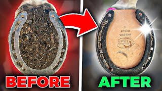 Before and After Horseshoe Cleaning Satisfying Farrier ASMR [upl. by Streeter261]