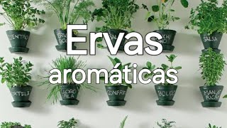 Ervas aromáticas [upl. by Ross656]