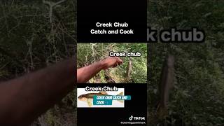 Creek Chub catch and cook pt1 🍲🎣 catchncook funny fishing ajillatv309 fishingvideo fyp [upl. by Galvin]