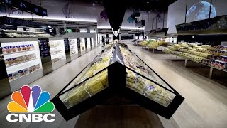 Supermarket Of Tomorrow Robot Stacking Your Food  CNBC [upl. by Marcellus]