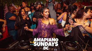 Amapiano Live Mix  AmapianoDMV x PRIYANKA [upl. by Donela]