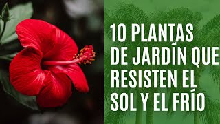 10 PLANTAS de jardín que resisten el CALOR y el FRÍO [upl. by Hazlip]