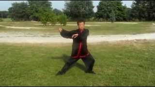 Hunyuan Taijiquan 24  Wang Fengming [upl. by Irtimid]