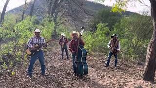 Cuando caigan las hojas 🍂 acústico temas desde el rancho  conjuntoCORONEL [upl. by Suzzy930]